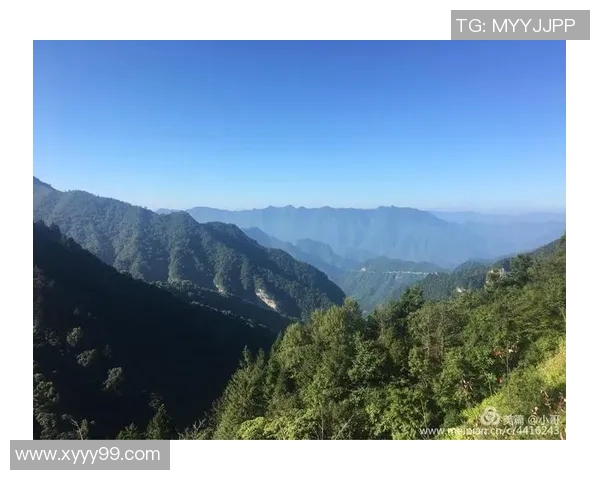 布兰登奈特的传奇人生与艺术成就探索之旅 布兰登奈特的传奇人生与艺术成就探索之旅